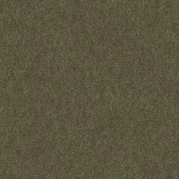 Обои Bernardo Bartalucci