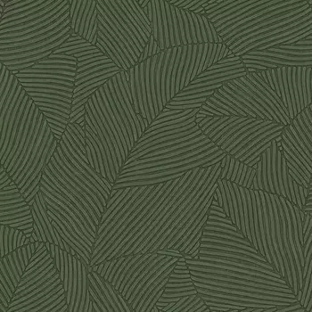 Обои Bernardo Bartalucci