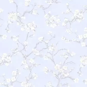 Обои Bernardo Bartalucci