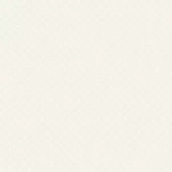 Обои Bernardo Bartalucci