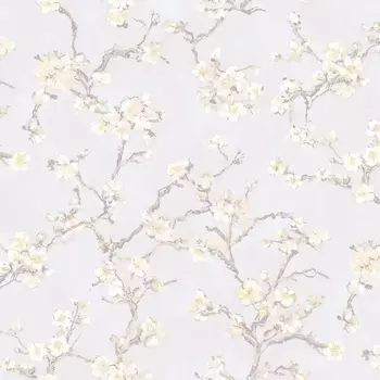 Обои Bernardo Bartalucci