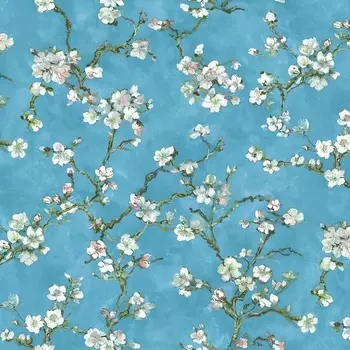 Обои Bernardo Bartalucci