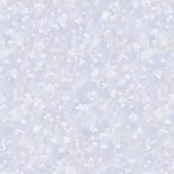 Обои Bernardo Bartalucci