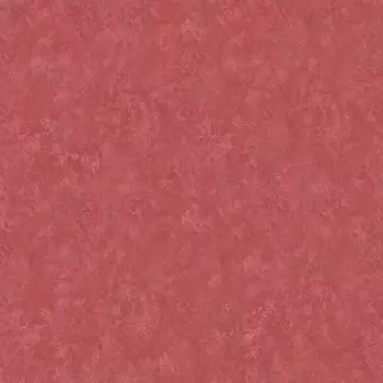 Обои Bernardo Bartalucci