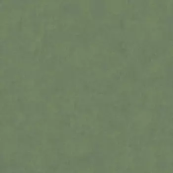 Обои Bernardo Bartalucci