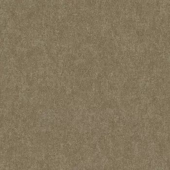 Обои Bernardo Bartalucci