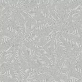 Обои Bernardo Bartalucci