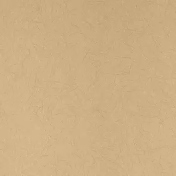 Обои Bernardo Bartalucci