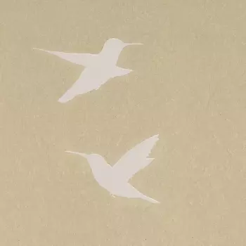 Обои Bernardo Bartalucci