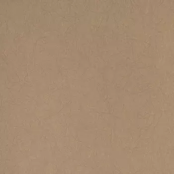 Обои Bernardo Bartalucci