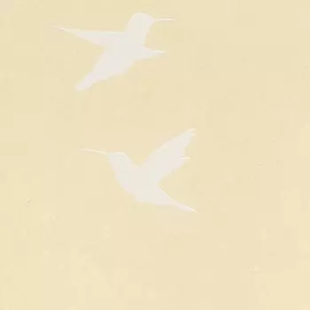 Обои Bernardo Bartalucci