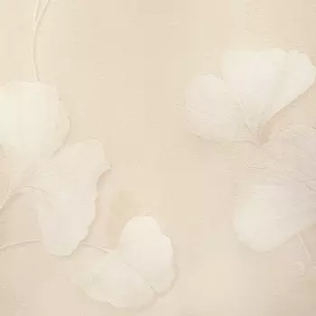 Обои Bernardo Bartalucci