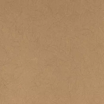 Обои Bernardo Bartalucci