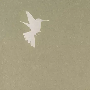 Обои Bernardo Bartalucci