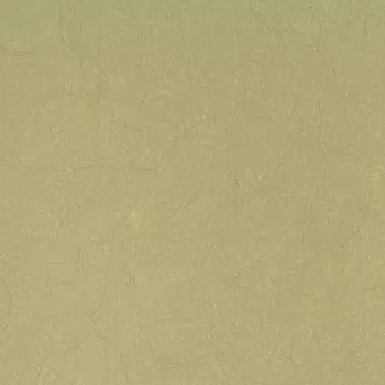 Обои Bernardo Bartalucci