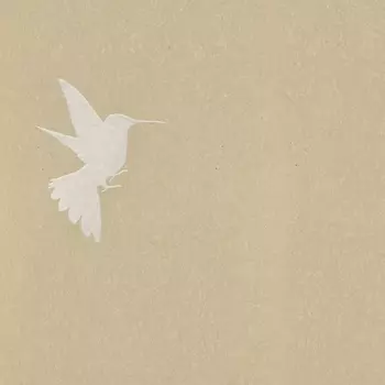 Обои Bernardo Bartalucci