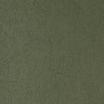 Обои Bernardo Bartalucci