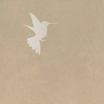 Обои Bernardo Bartalucci