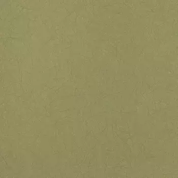 Обои Bernardo Bartalucci