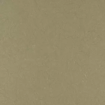 Обои Bernardo Bartalucci