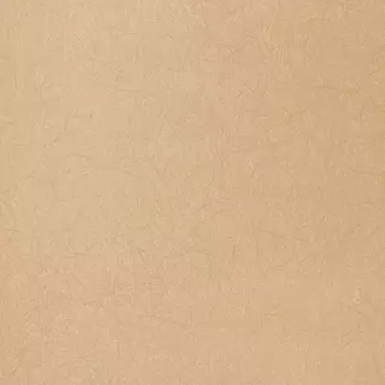 Обои Bernardo Bartalucci