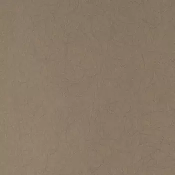 Обои Bernardo Bartalucci