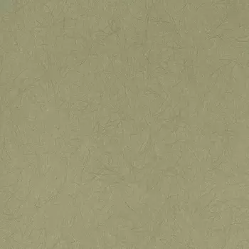 Обои Bernardo Bartalucci