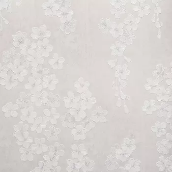 Обои Bernardo Bartalucci