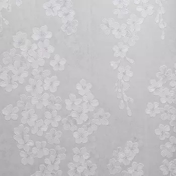 Обои Bernardo Bartalucci