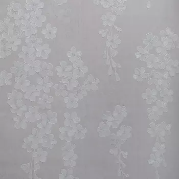 Обои Bernardo Bartalucci