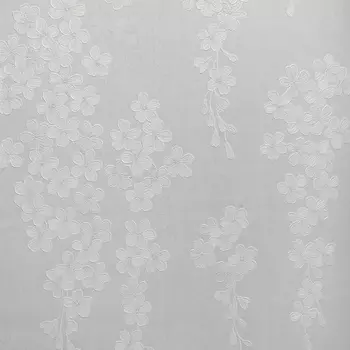 Обои Bernardo Bartalucci