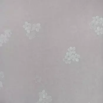 Обои Bernardo Bartalucci