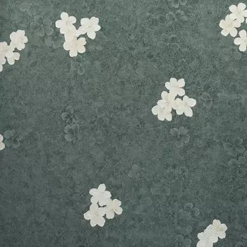 Обои Bernardo Bartalucci