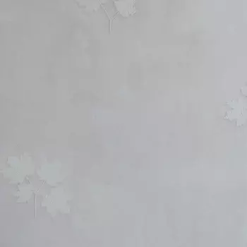 Обои Bernardo Bartalucci