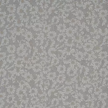 Обои Bernardo Bartalucci