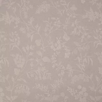 Обои Bernardo Bartalucci