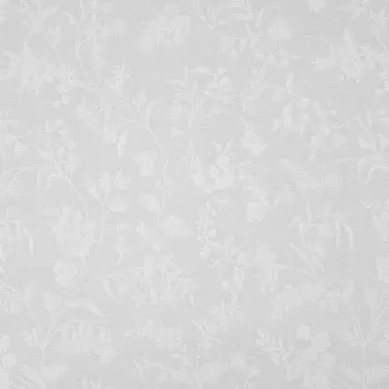 Обои Bernardo Bartalucci