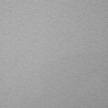 Обои Bernardo Bartalucci