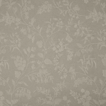 Обои Bernardo Bartalucci