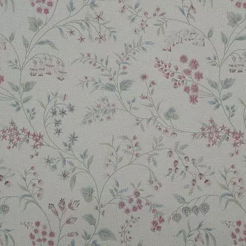 Обои Bernardo Bartalucci