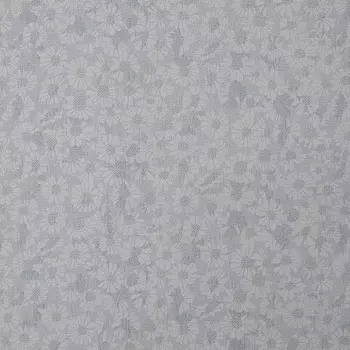 Обои Bernardo Bartalucci