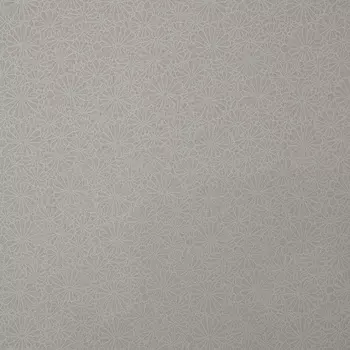 Обои Bernardo Bartalucci