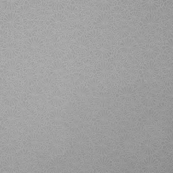 Обои Bernardo Bartalucci