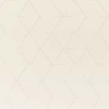 Обои Bernardo Bartalucci