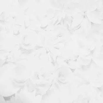 Обои BN-INTERNATIONAL