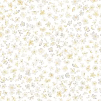 Обои детские Bernardo Bartalucci