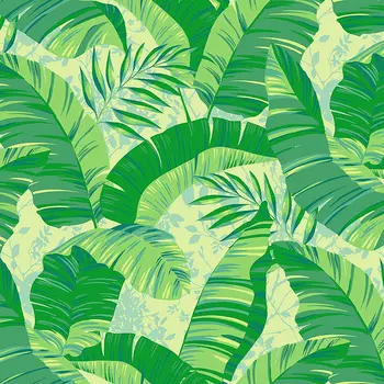 Обои детские LOYMINA