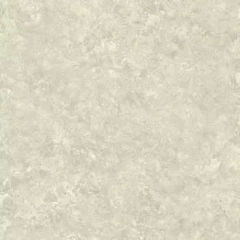 Обои Nina Hancock