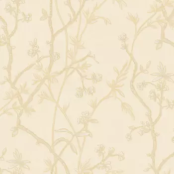 Обои Roberto Borzagi