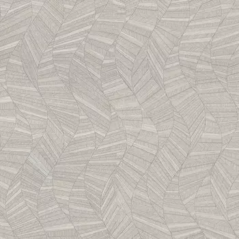 Обои Wiganford by Solo